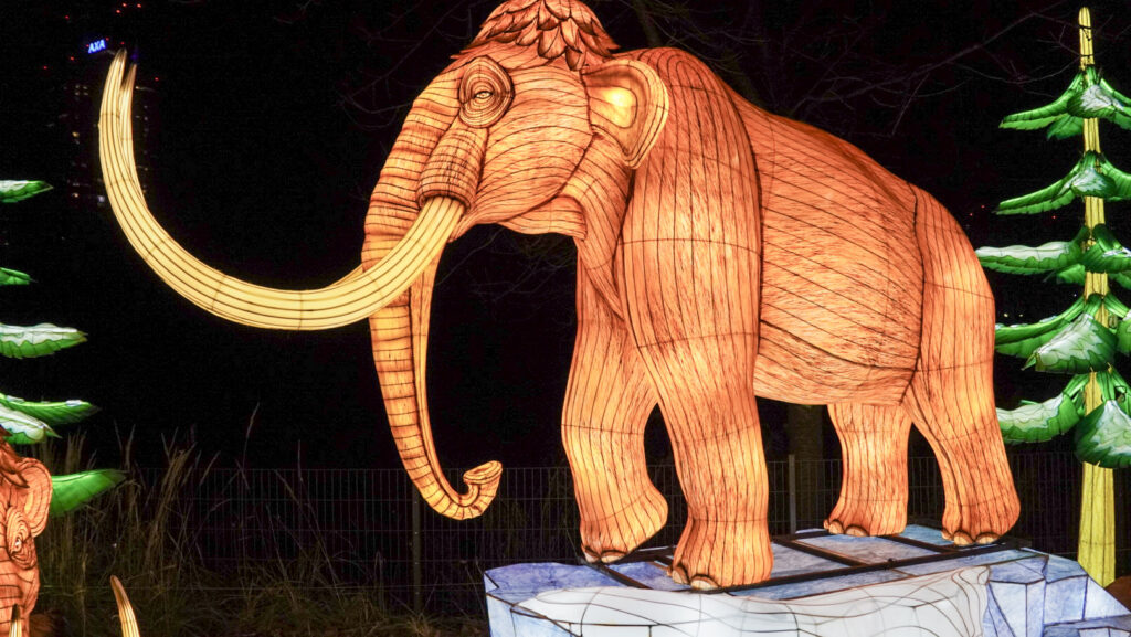 China Lights im K&ouml;lner Zoo