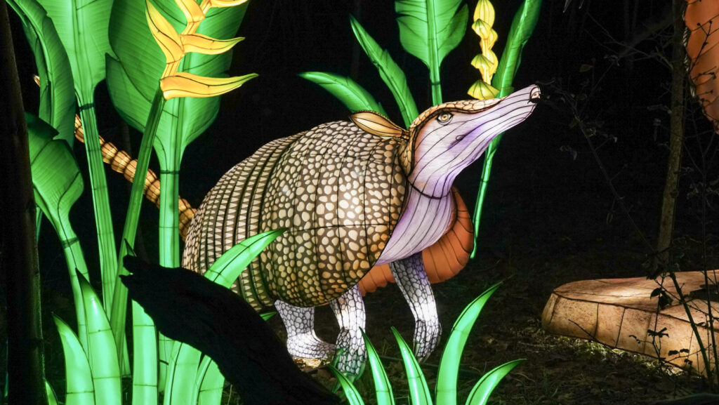 China Lights im K&ouml;lner Zoo