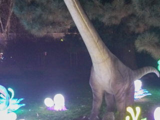 China Lights im K&ouml;lner Zoo