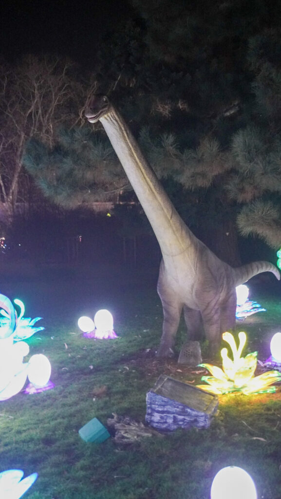 China Lights im K&ouml;lner Zoo