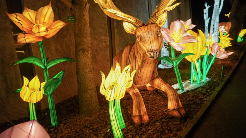 China Lights im K&ouml;lner Zoo