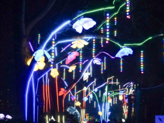 China Lights im K&ouml;lner Zoo