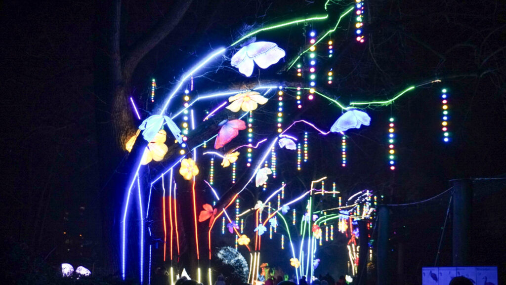 China Lights im K&ouml;lner Zoo