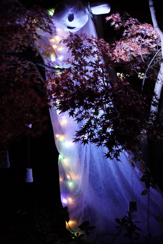 Herbstlichter Br&uuml;ckenkopfpark J&uuml;lich