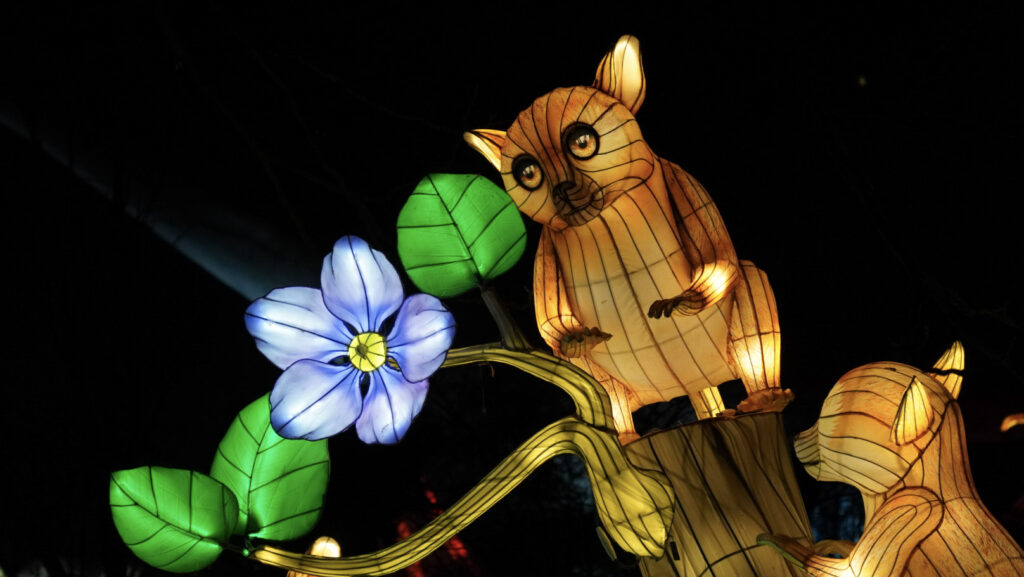 China Lights im K&ouml;lner Zoo