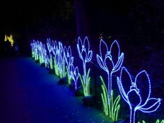 China Lights im K&ouml;lner Zoo