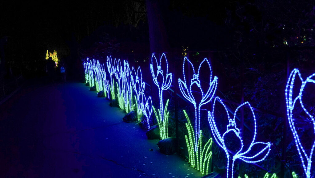 China Lights im K&ouml;lner Zoo