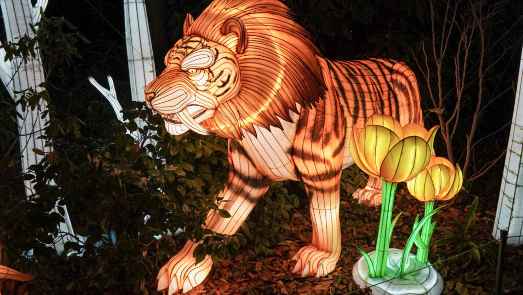 China Lights im K&ouml;lner Zoo