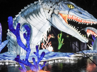 China Lights im K&ouml;lner Zoo
