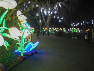 China Lights im K&ouml;lner Zoo