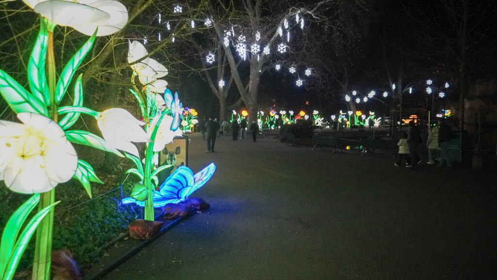 China Lights im K&ouml;lner Zoo