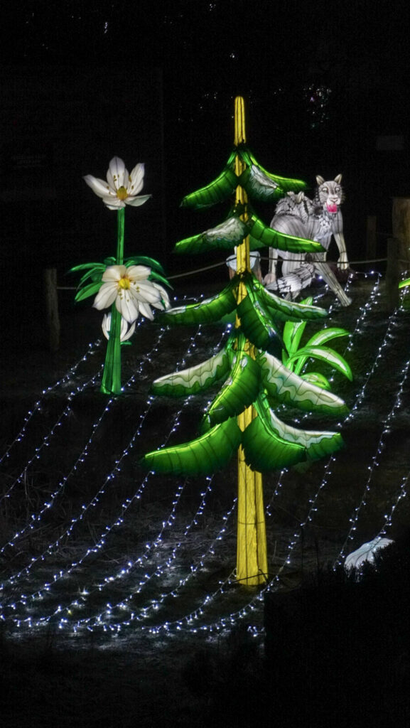 China Lights im K&ouml;lner Zoo