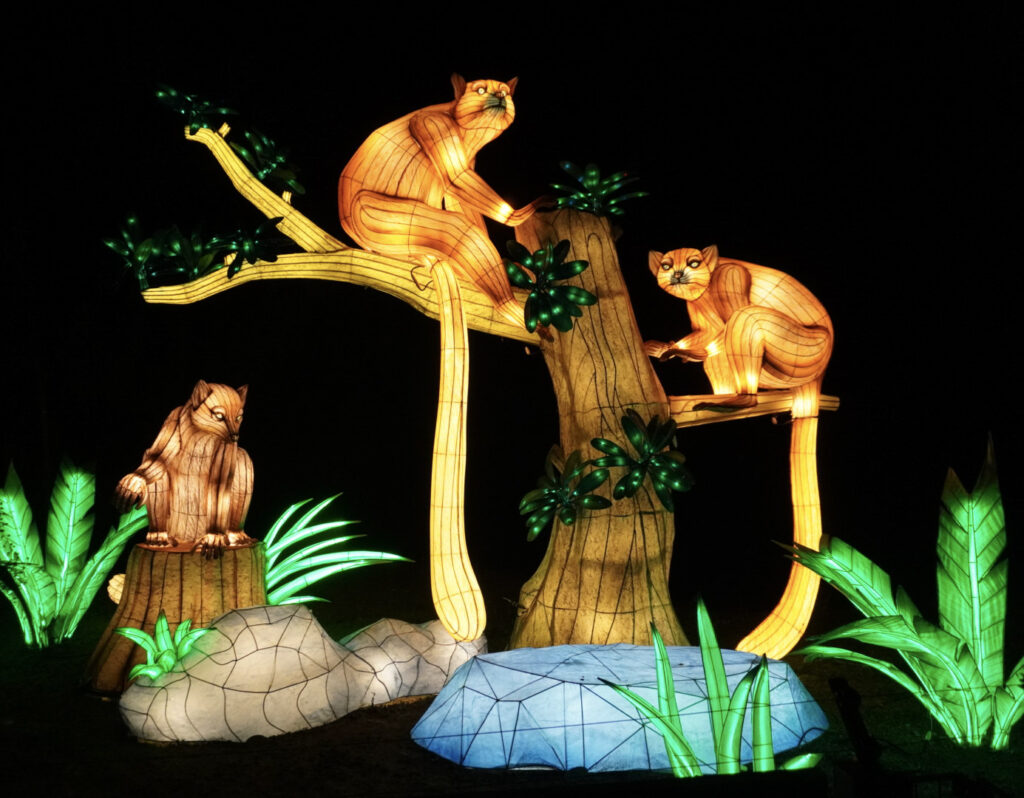 China Lights im K&ouml;lner Zoo