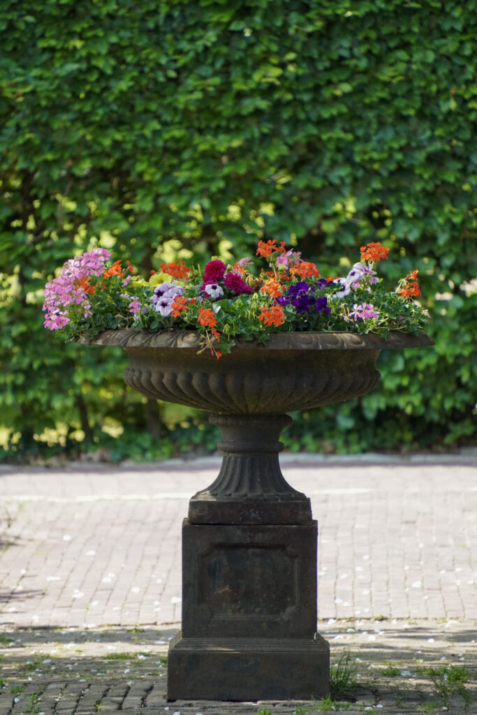 El Mundo Fantasia - Mondo Verde