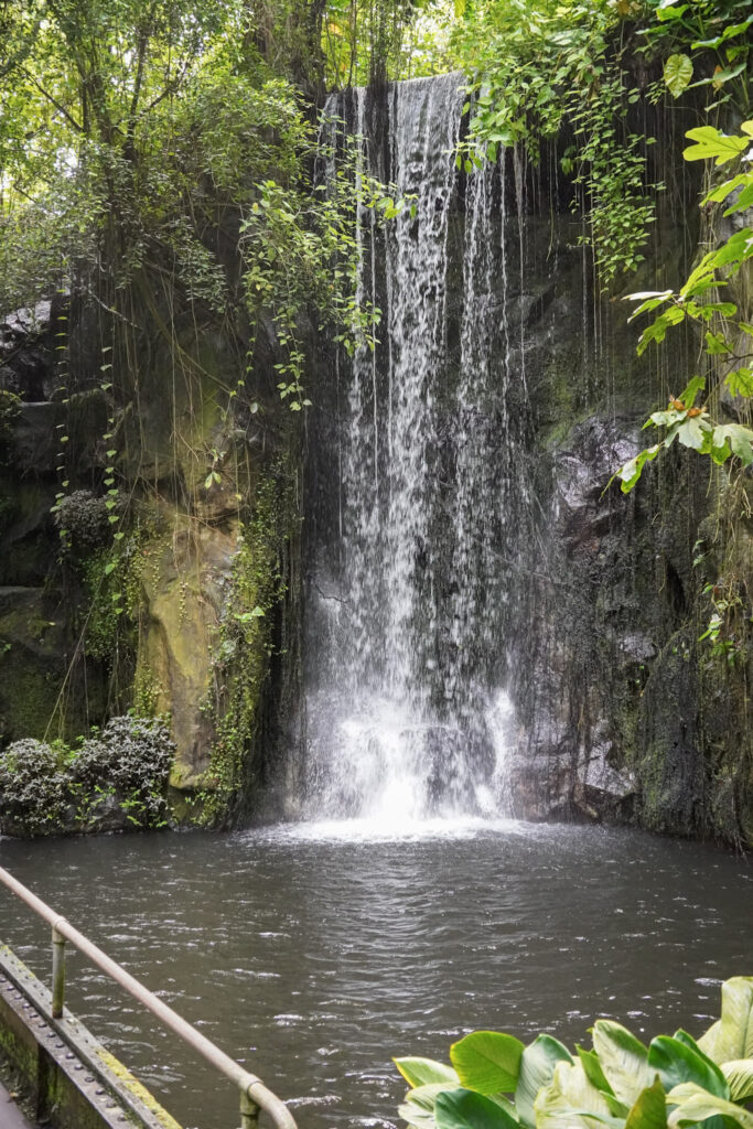 Burgers' Zoo Burgers' Zoo