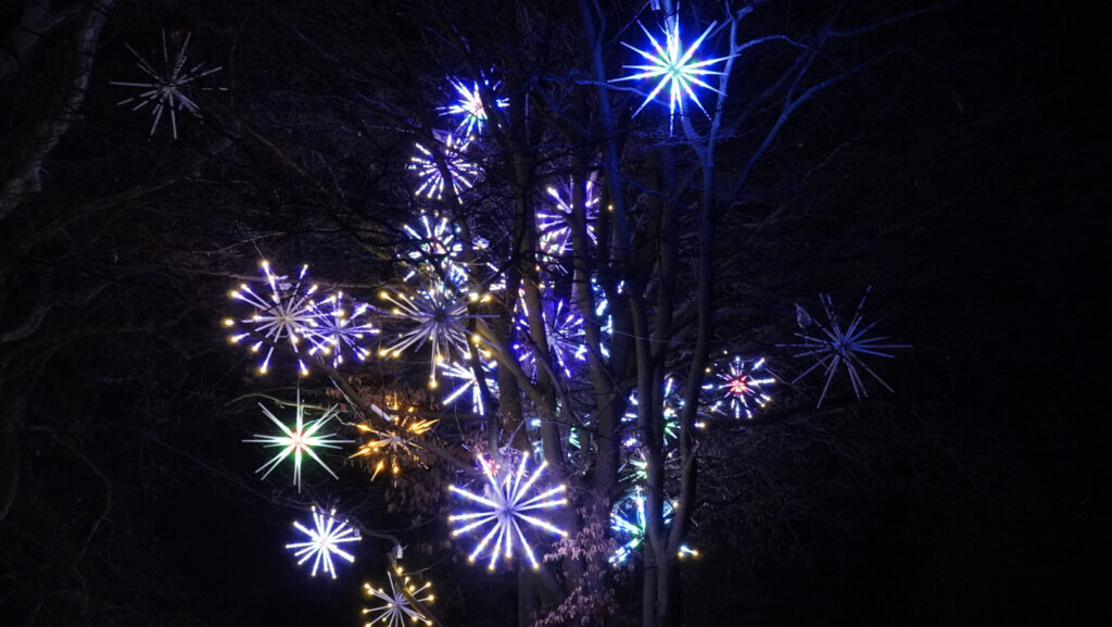 China Lights im K&ouml;lner Zoo