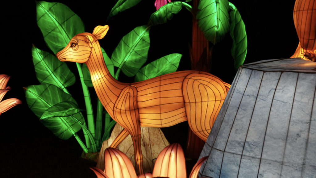 China Lights im K&ouml;lner Zoo