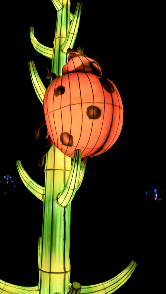 China Lights im K&ouml;lner Zoo