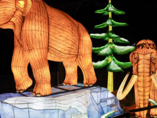 China Lights im K&ouml;lner Zoo