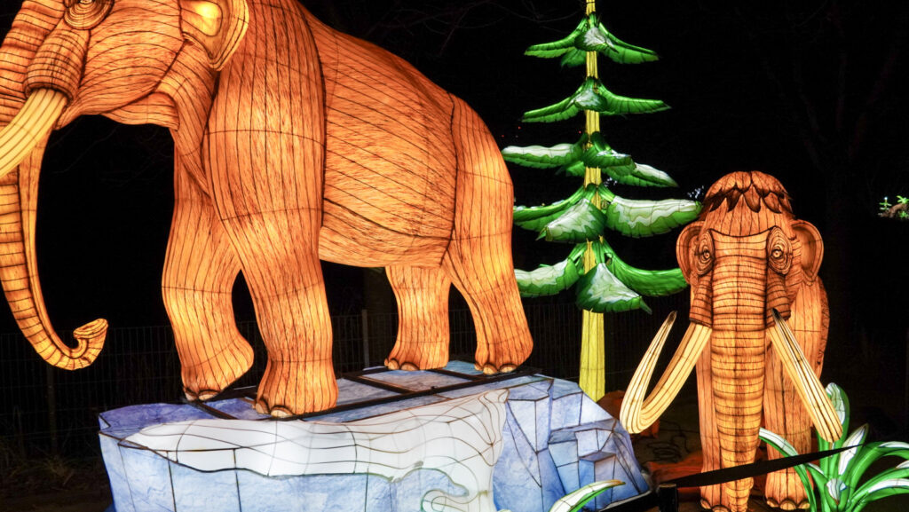 China Lights im K&ouml;lner Zoo