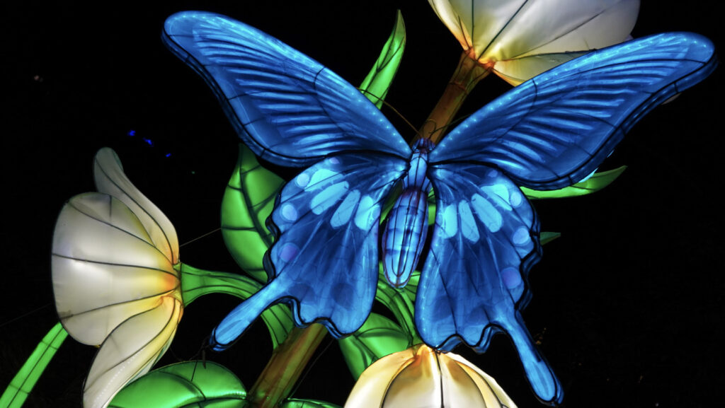 China Lights im K&ouml;lner Zoo