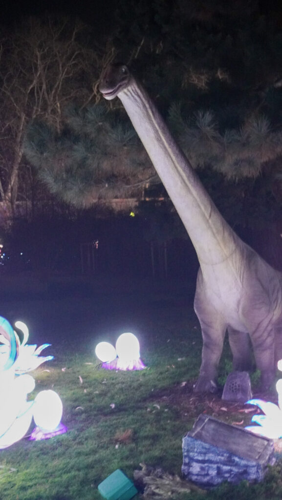 China Lights im K&ouml;lner Zoo