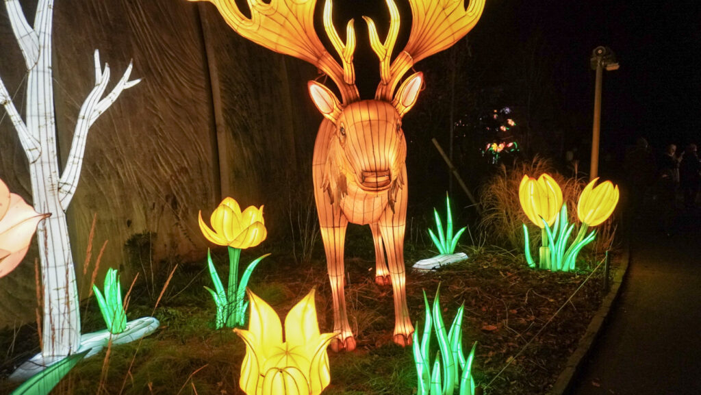 China Lights im K&ouml;lner Zoo