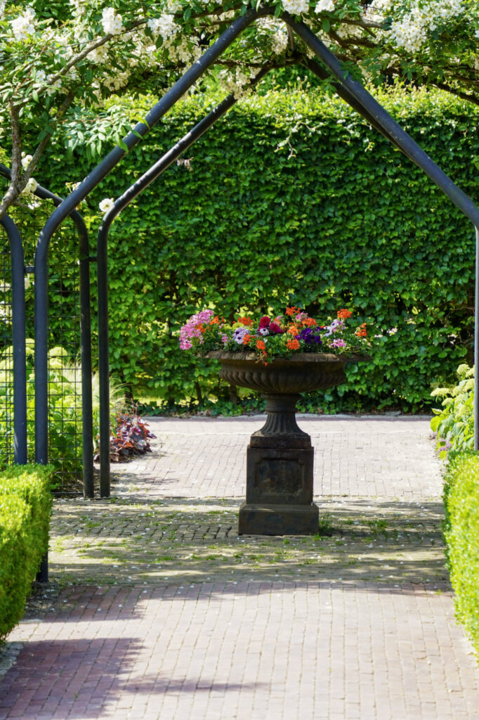 El Mundo Fantasia - Mondo Verde