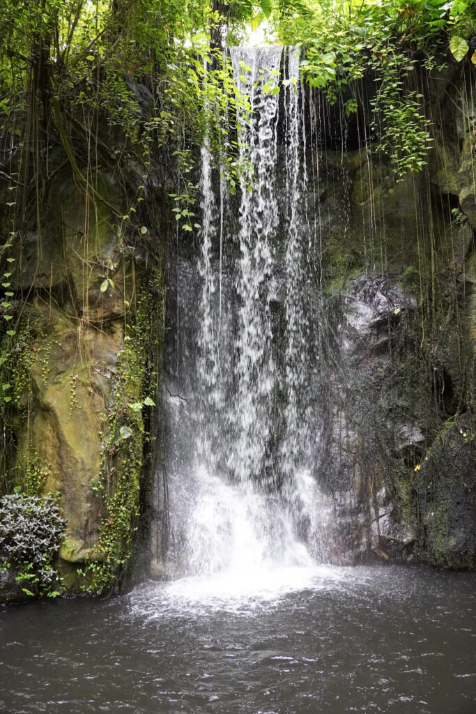 Burgers' Zoo Burgers' Zoo