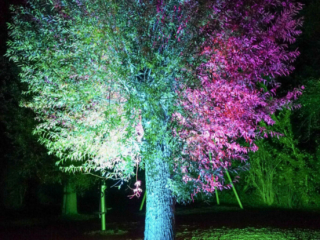 Herbstlichter Brückenkopfpark Jülich Herbstlichter Brückenkopfpark Jülich