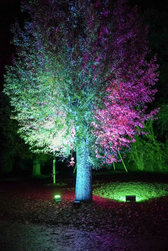 Herbstlichter Br&uuml;ckenkopfpark J&uuml;lich