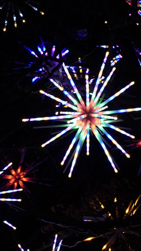 China Lights im K&ouml;lner Zoo