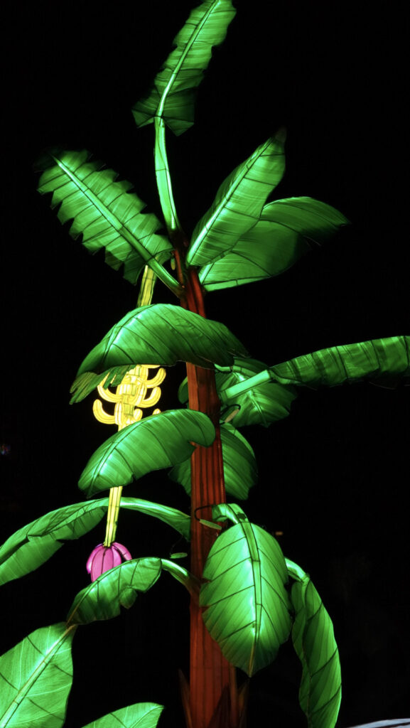 China Lights im K&ouml;lner Zoo