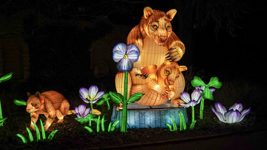 China Lights im K&ouml;lner Zoo