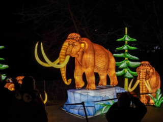 China Lights im K&ouml;lner Zoo