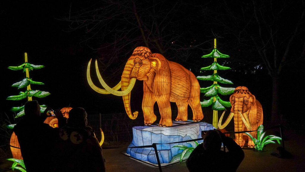 China Lights im K&ouml;lner Zoo