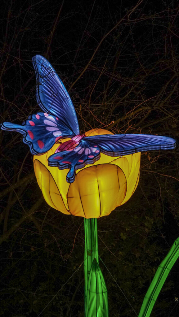 China Lights im K&ouml;lner Zoo