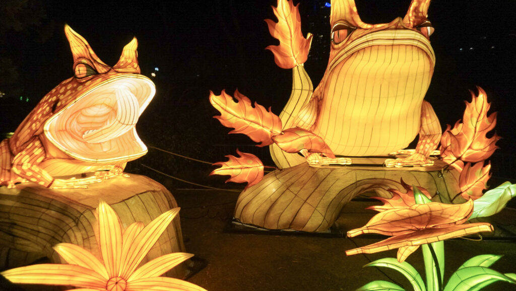 China Lights im K&ouml;lner Zoo