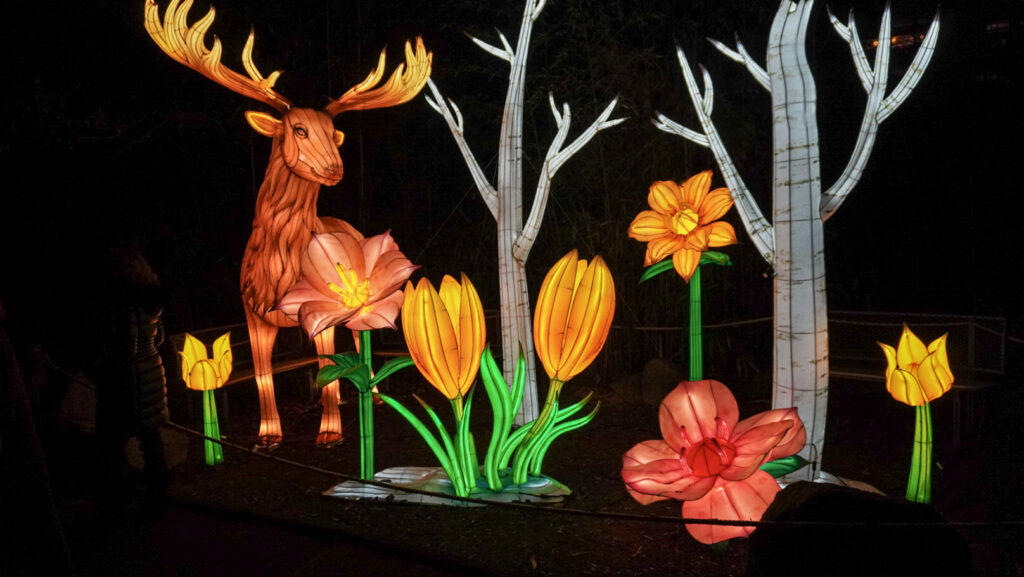 China Lights im K&ouml;lner Zoo