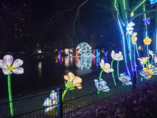 China Lights im K&ouml;lner Zoo