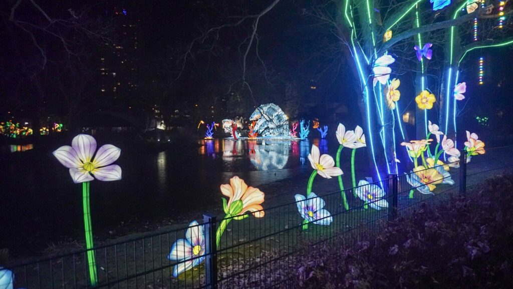 China Lights im K&ouml;lner Zoo