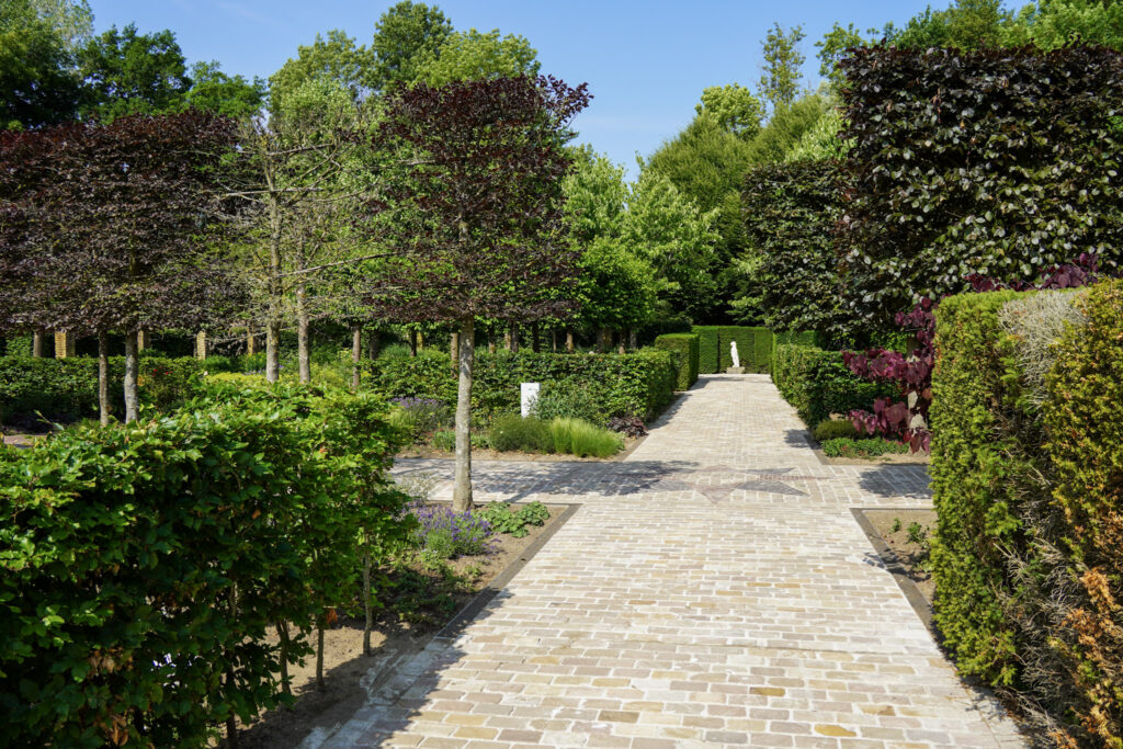 El Mundo Fantasia - Mondo Verde