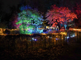 Herbstlichter Brückenkopfpark Jülich Herbstlichter Brückenkopfpark Jülich