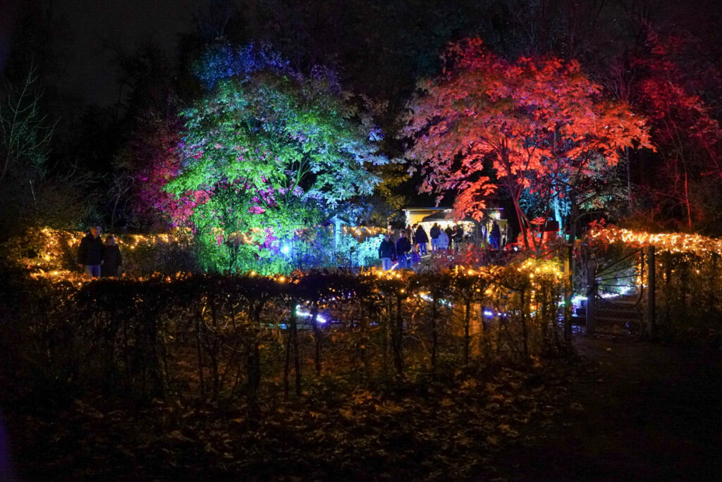 Herbstlichter Br&uuml;ckenkopfpark J&uuml;lich