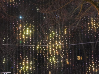 Garden of Lights Garden of Lights