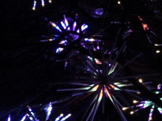 China Lights im K&ouml;lner Zoo