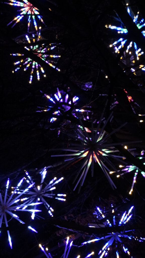 China Lights im K&ouml;lner Zoo