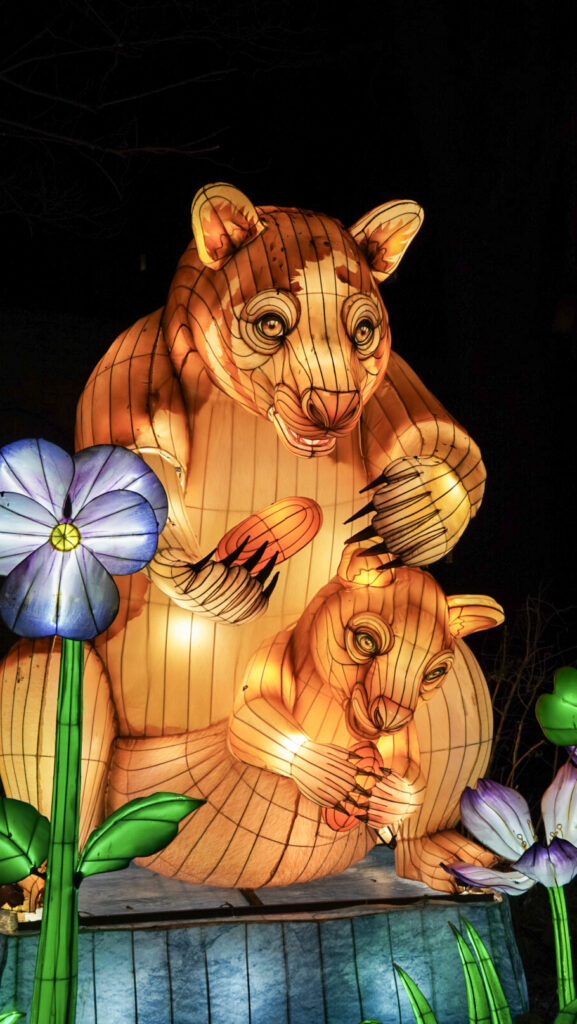 China Lights im K&ouml;lner Zoo