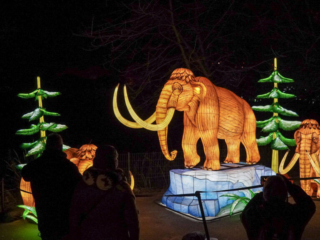 China Lights im K&ouml;lner Zoo