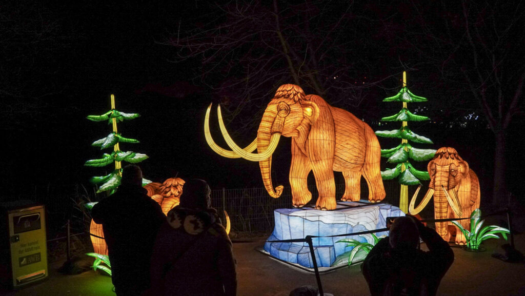 China Lights im K&ouml;lner Zoo